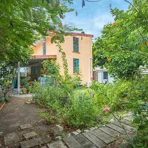 D'une A A 1 M De La Avec Vue Sur La Jardin Clos Et Wifi Appartement Le Carbet
